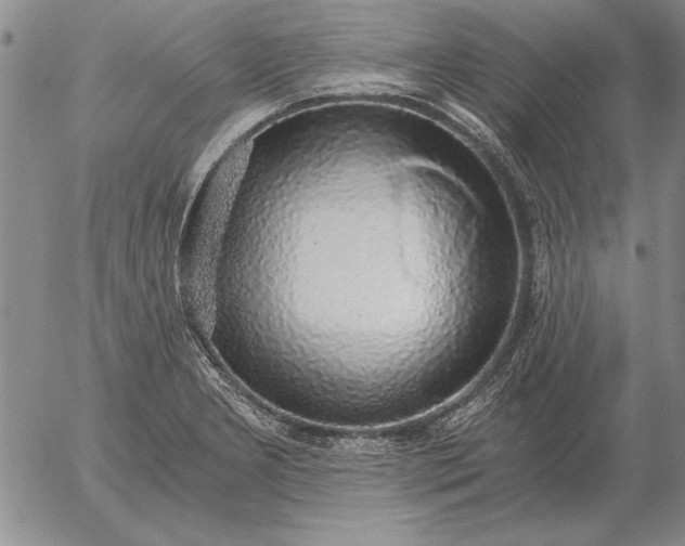 X0000056031277200509021812