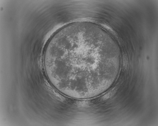 X0000056031278200509021812