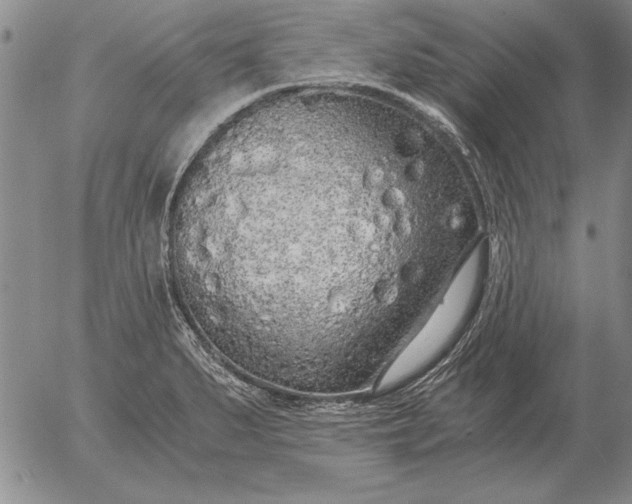 X0000056031279200509021812