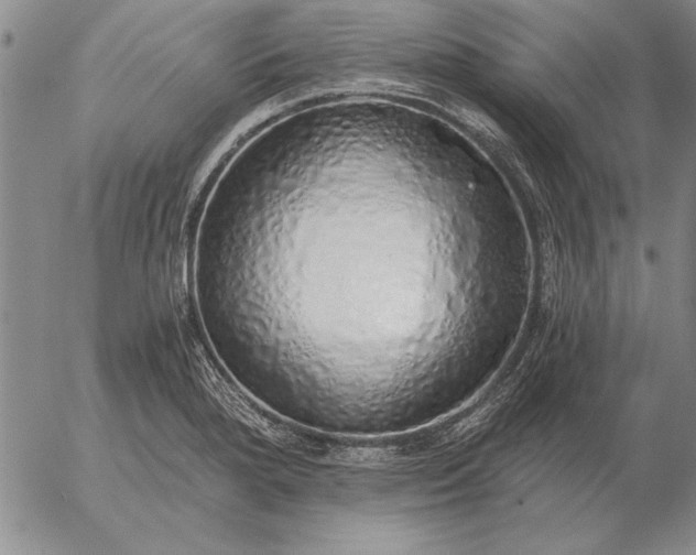 X0000056031280200509021812