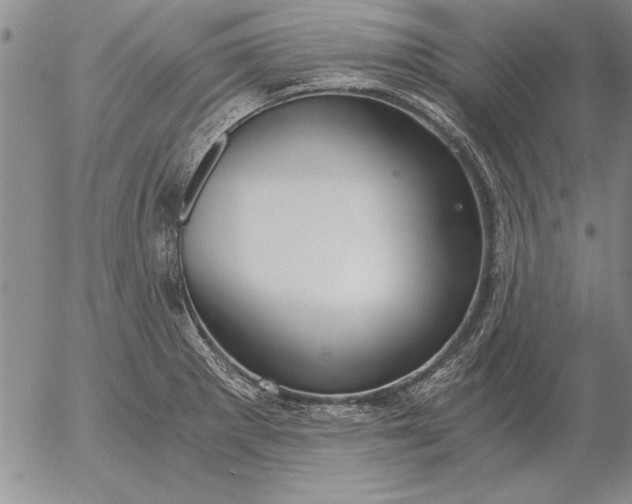 X0000056031281200509021812