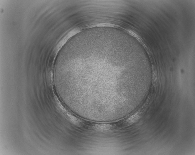 X0000056031282200509021812