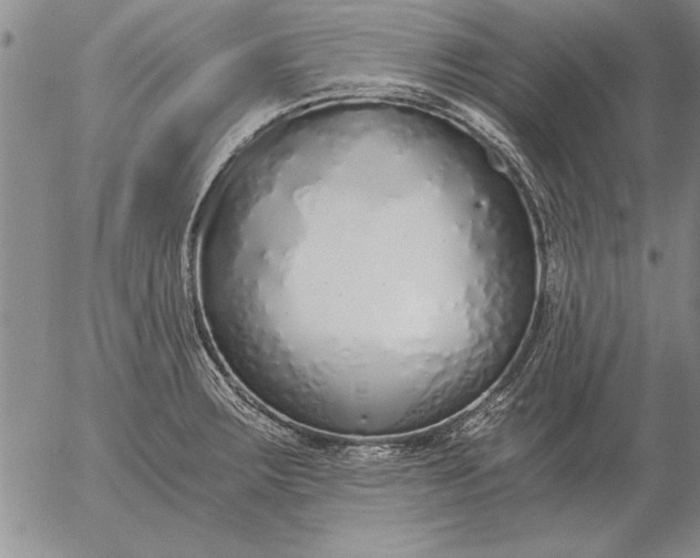 X0000056031283200509021812