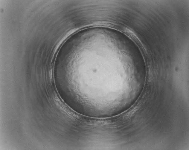 X0000056031284200509021812