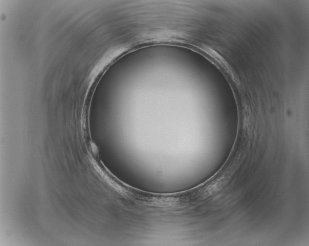 X0000056031285200509021812