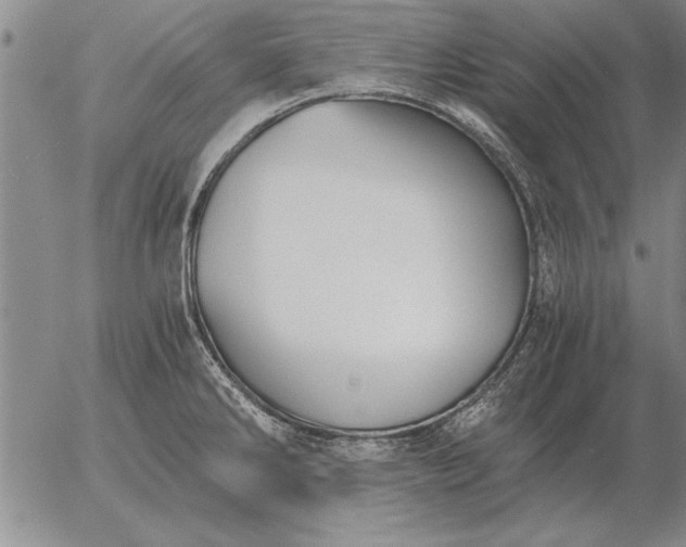 X0000056031286200509021812