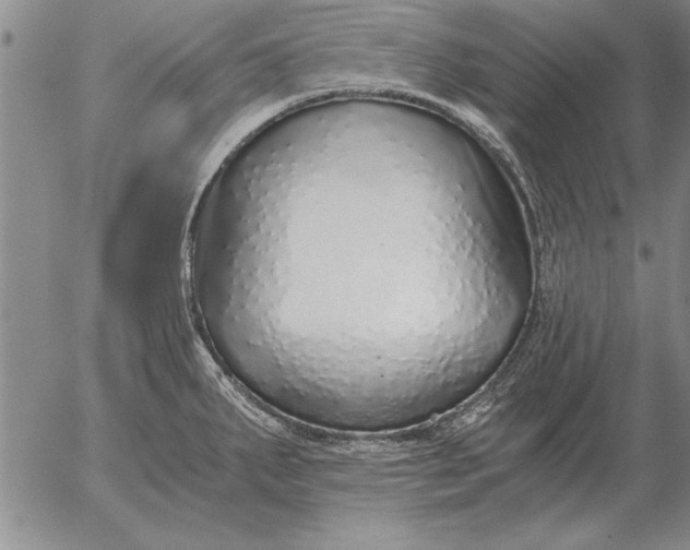 X0000056031287200509021812