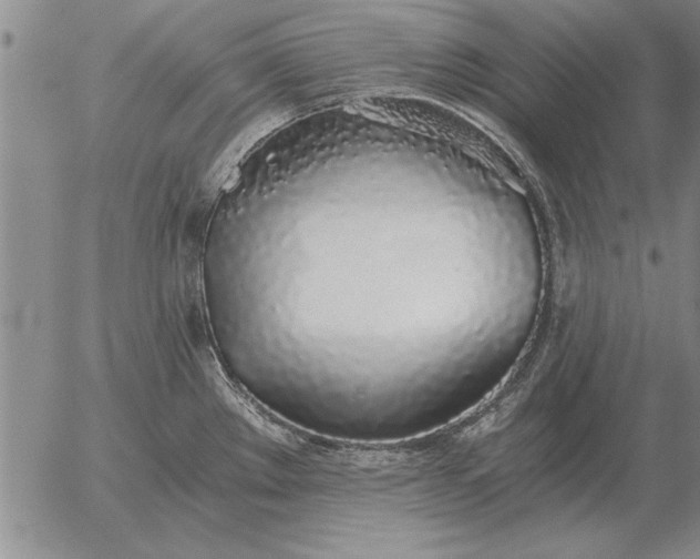 X0000056031289200509021812