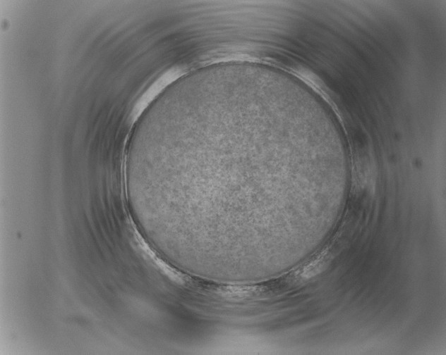 X0000056031290200509021812