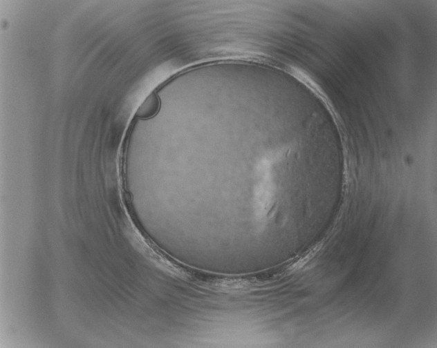 X0000056031291200509021812