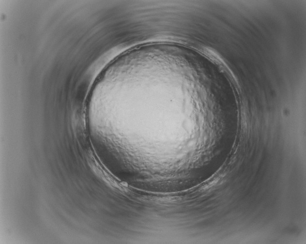 X0000056031292200509021812