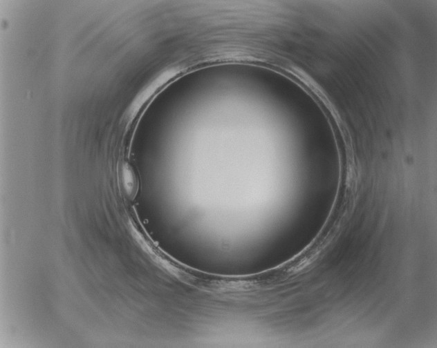 X0000056031293200509021812