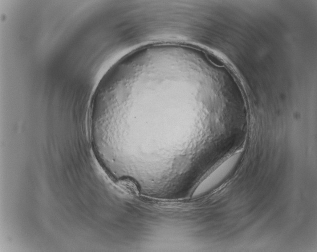 X0000056031295200509021812