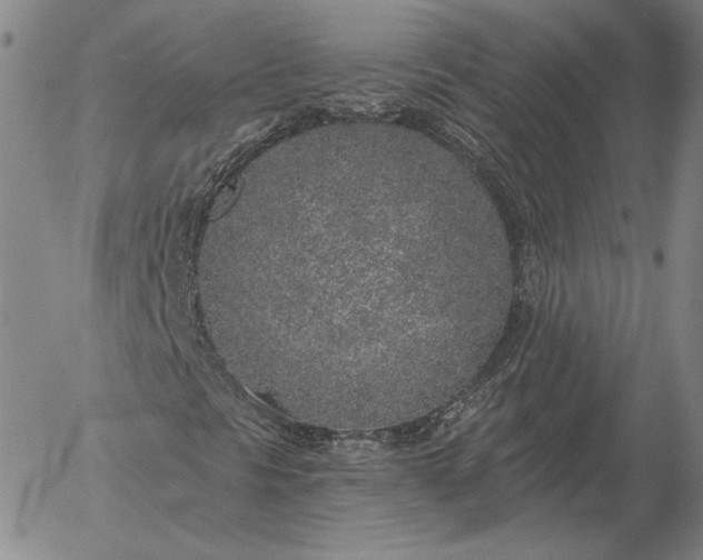 X0000056031297200509021811