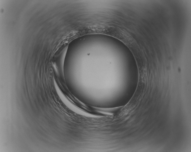 X0000056031298200509021811