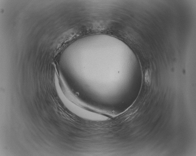 X0000056031299200509021811