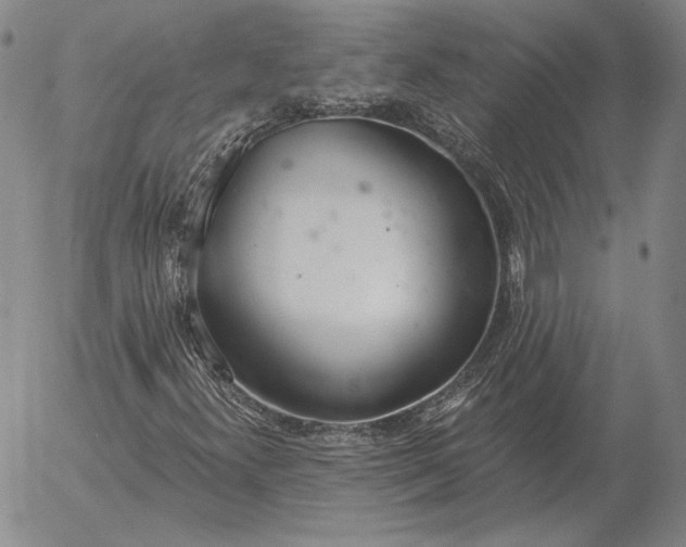 X0000056031300200509021811