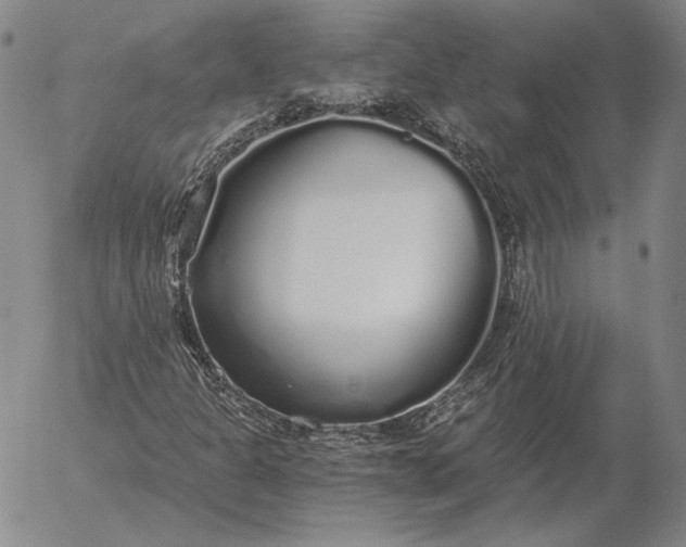 X0000056031301200509021811