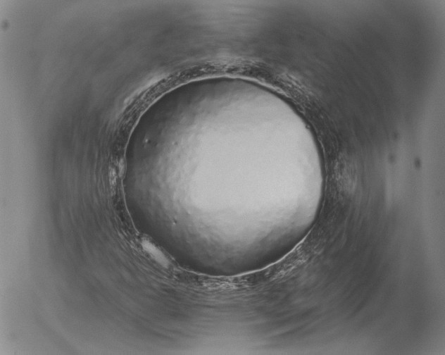 X0000056031302200509021811