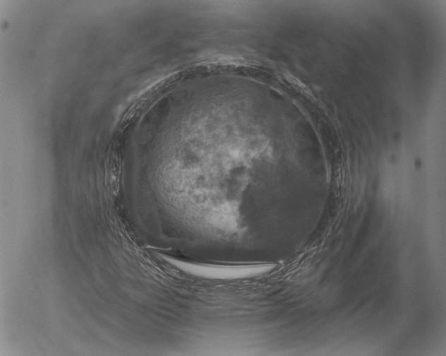 X0000056031303200509021811