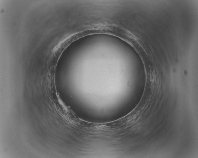 X0000056031304200509021811