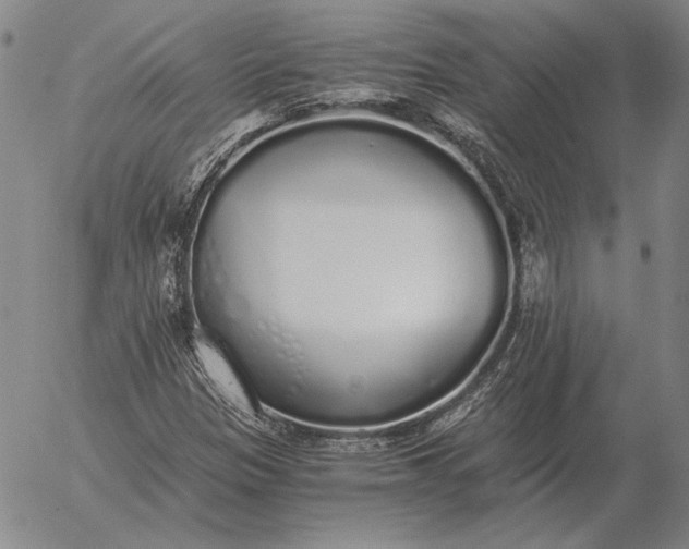 X0000056031305200509021811