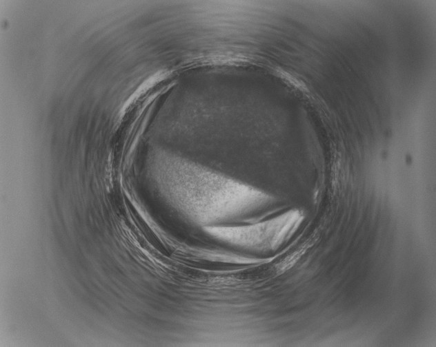 X0000056031306200509021811