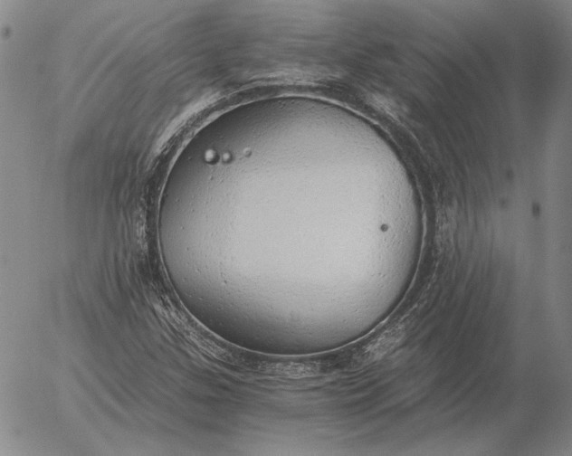 X0000056031307200509021811