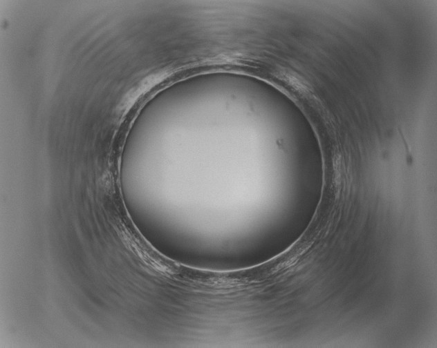 X0000056031308200509021811