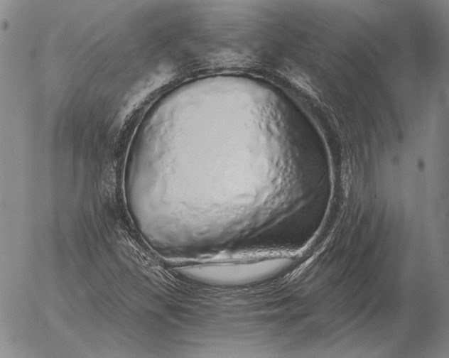 X0000056031309200509021811