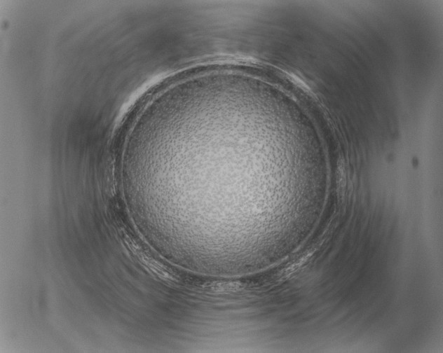 X0000056031310200509021811