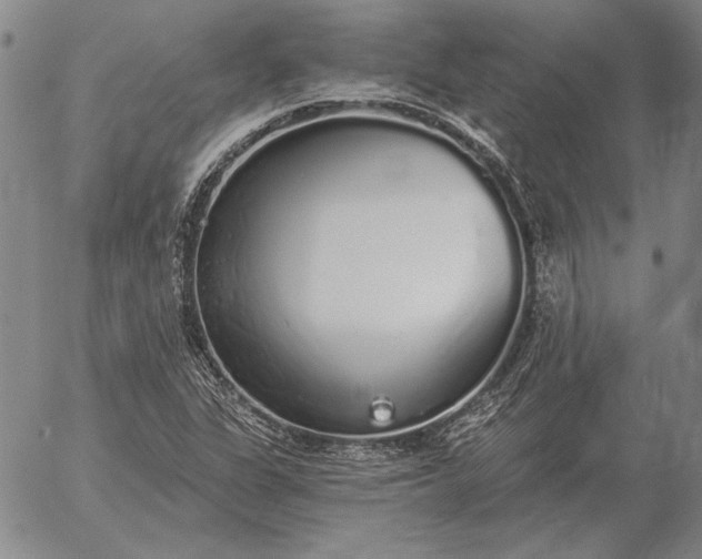 X0000056031311200509021811