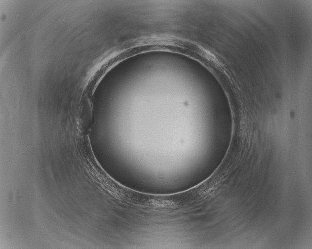 X0000056031312200509021811