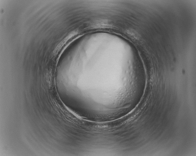 X0000056031313200509021811