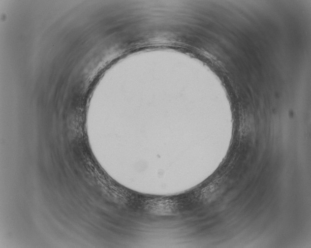 X0000056031314200509021811