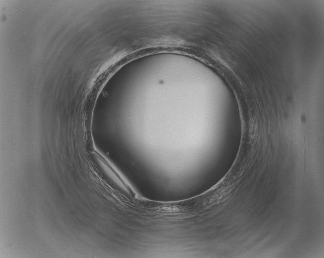 X0000056031315200509021811