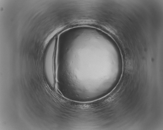 X0000056031317200509021811