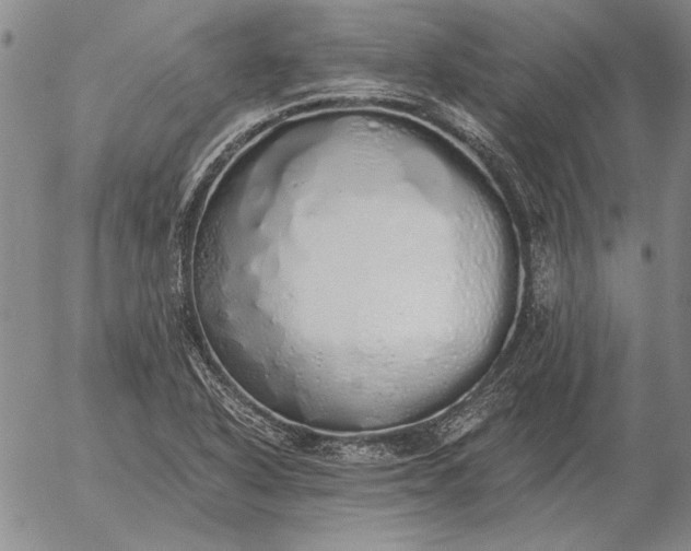 X0000056031318200509021811