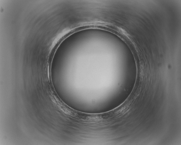 X0000056031320200509021811