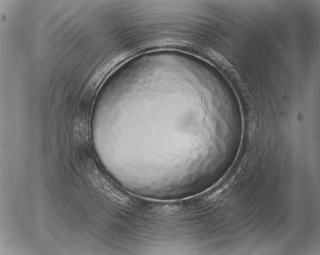 X0000056031321200509021811