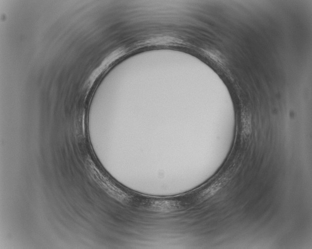 X0000056031322200509021811