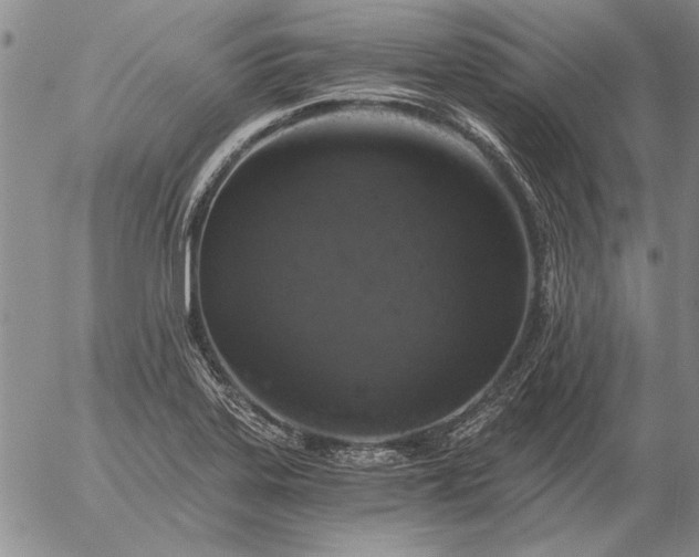 X0000056031323200509021811