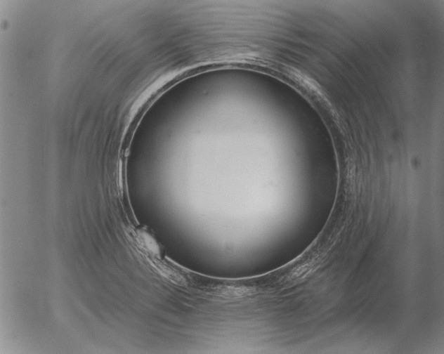 X0000056031324200509021811