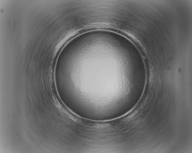 X0000056031325200509021811