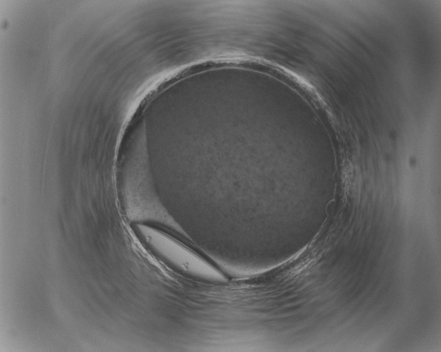 X0000056031327200509021812