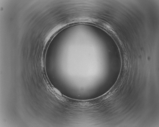 X0000056031328200509021812