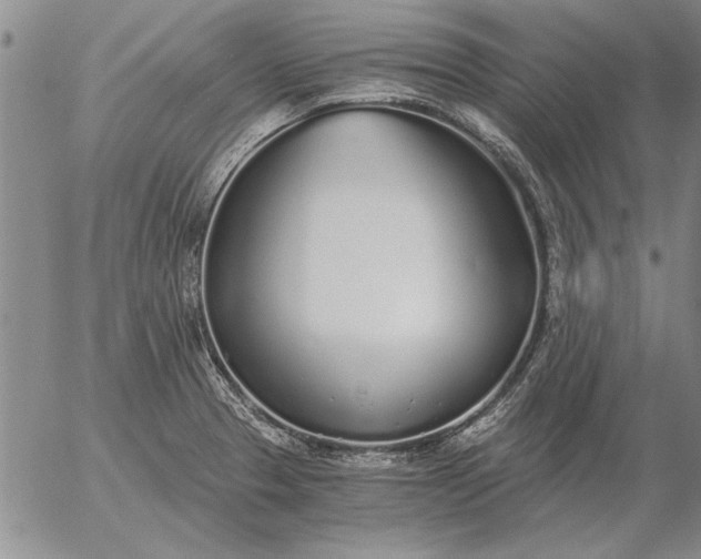 X0000056031329200509021812