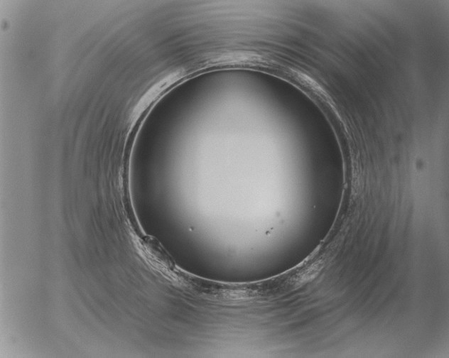 X0000056031330200509021812