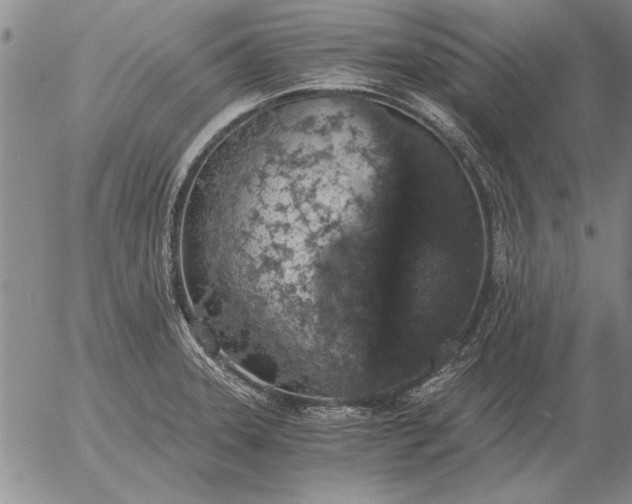 X0000056031331200509021812