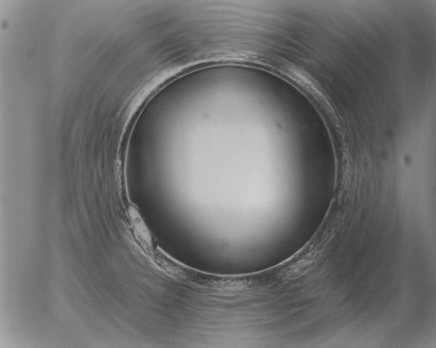 X0000056031332200509021812